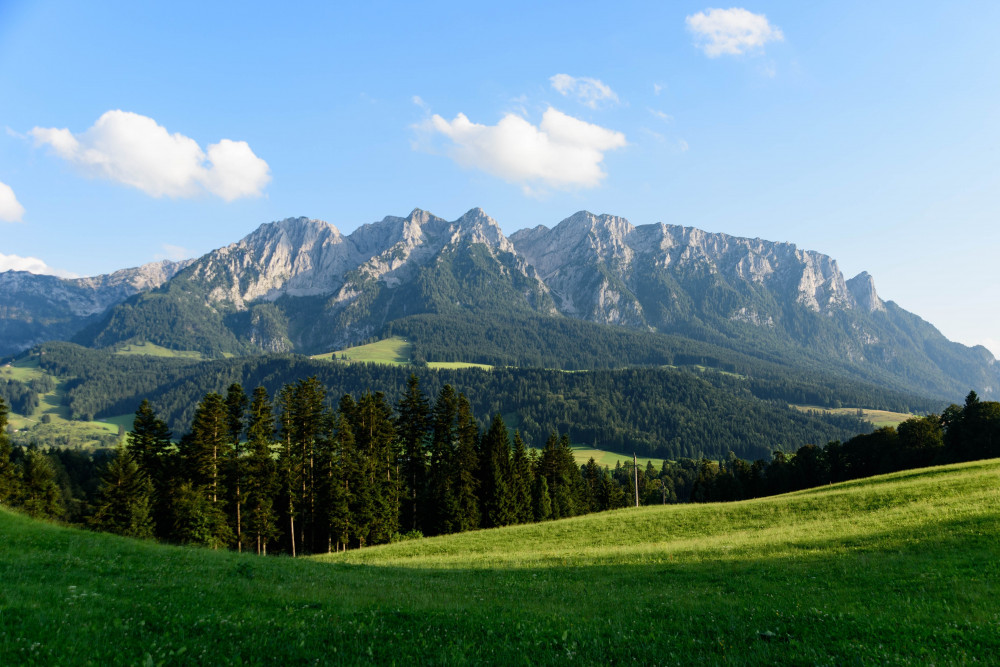 Busreise in die Alpen mit Bergpanorama Alpenpanorama mit grünen Wiesen, Wald und Bergen als Reiseziel für Busreisen und Mehrtagesreisen